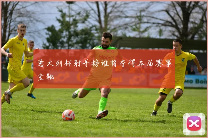 意大利杯射手榜谁将夺得本届赛事金靴