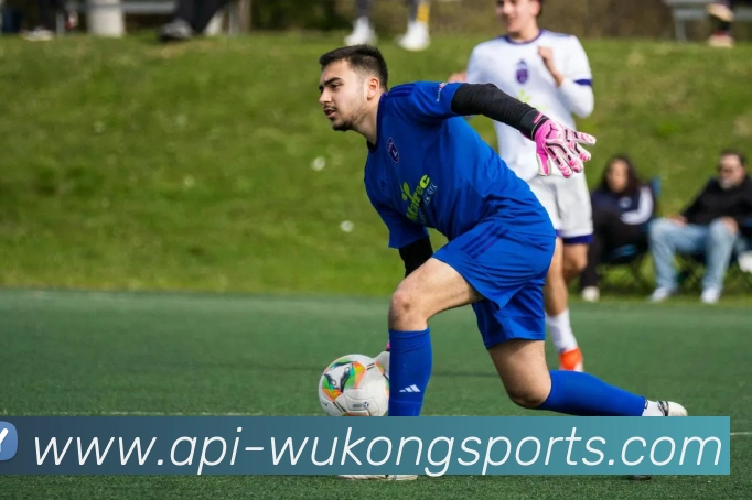 悟空体育平台生态图